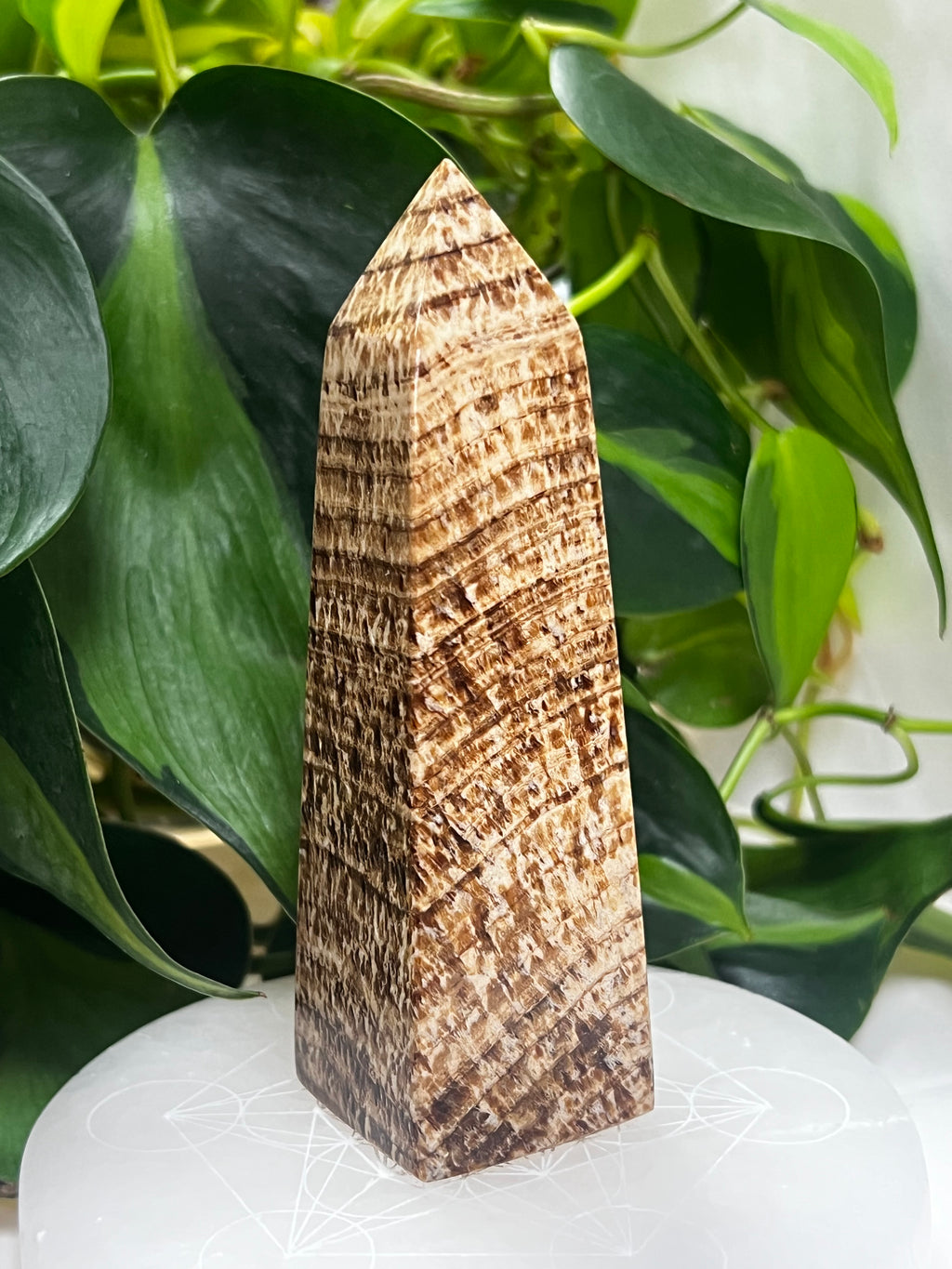 Aragonite Tower