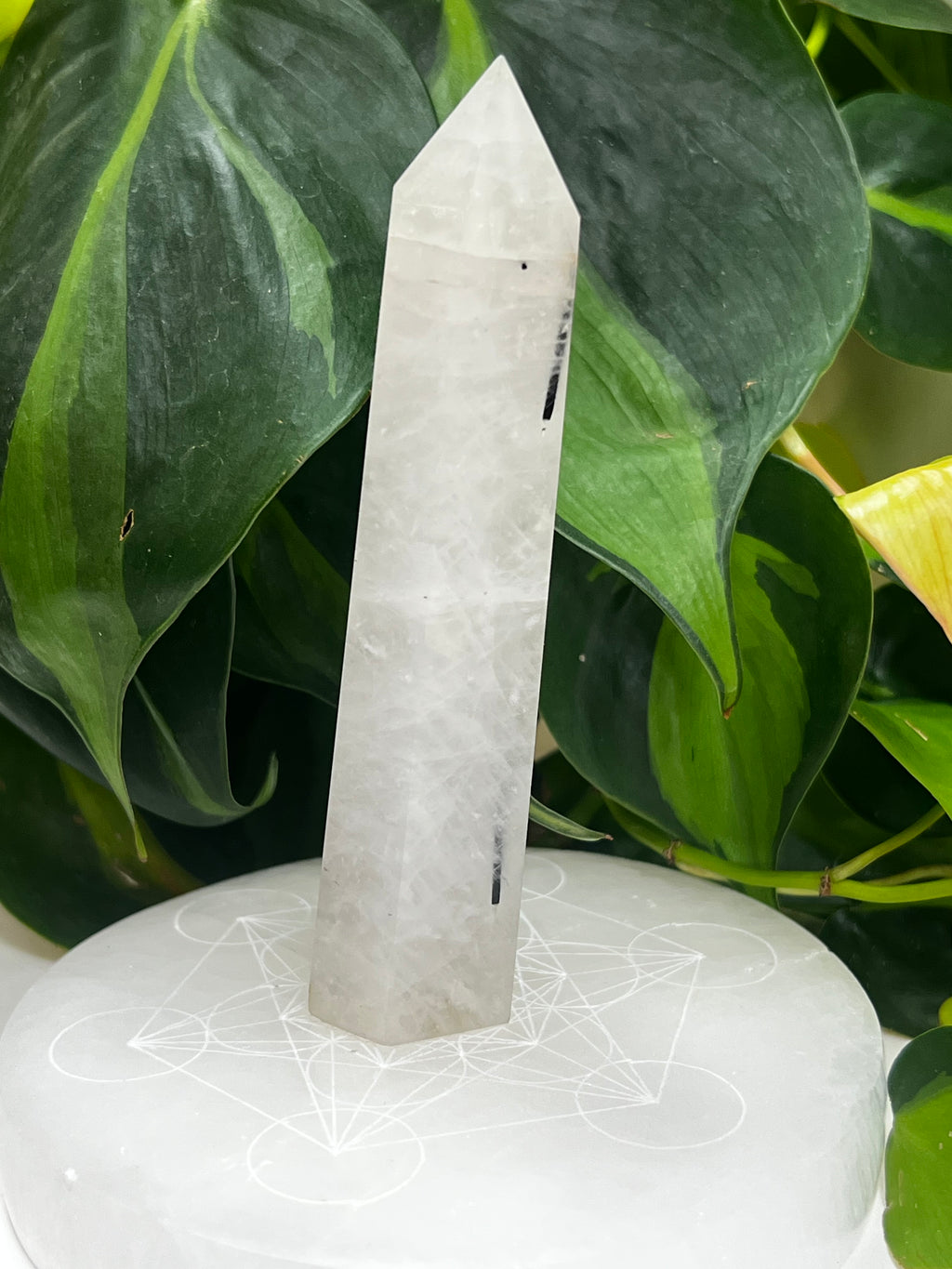Black Tourmaline Quartz Tower