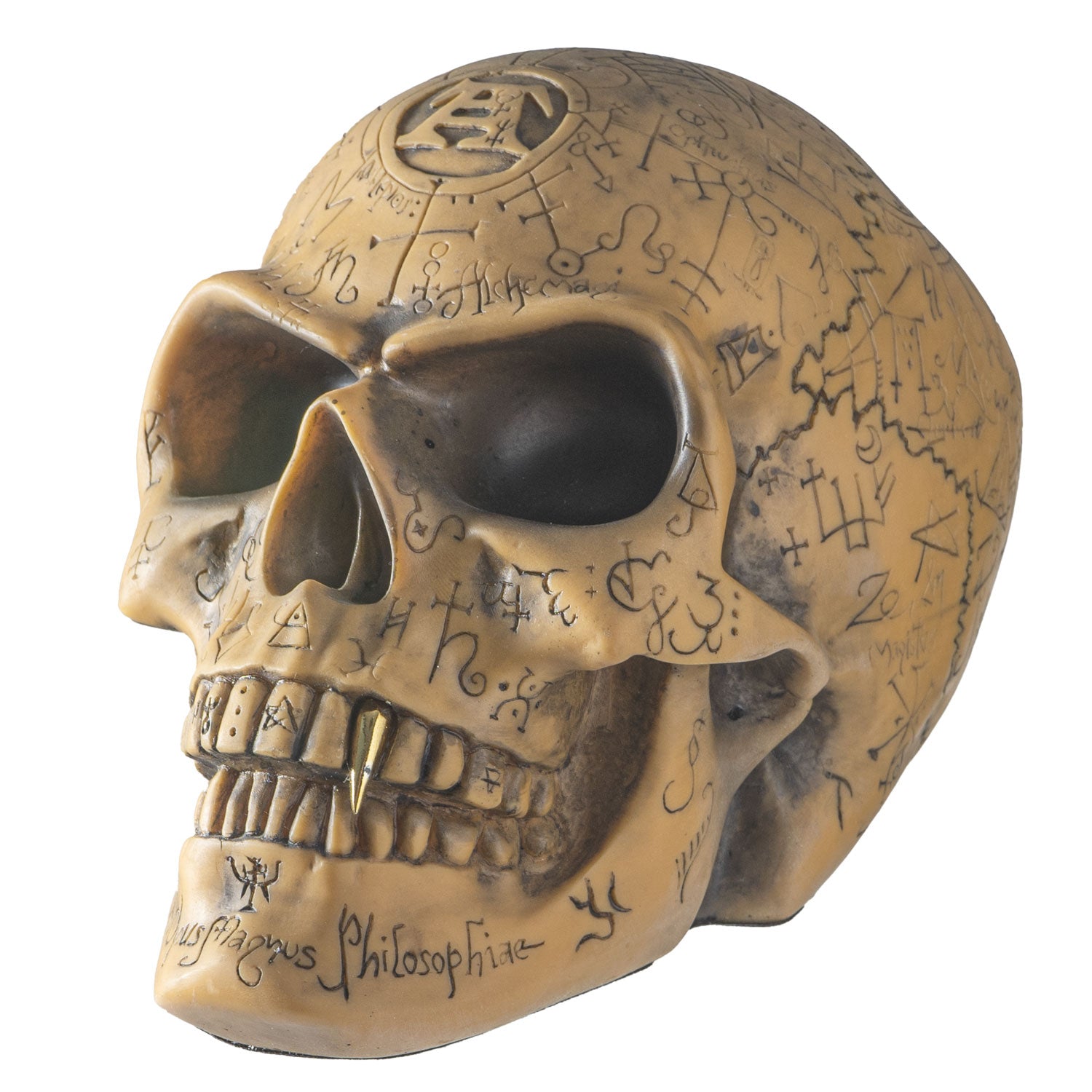 Alchemist Omega Skull Figurine
