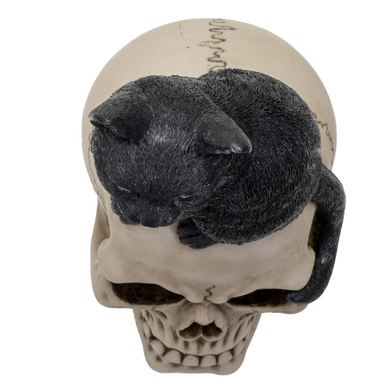 Witching Hour Black Cat on Skull Figurine