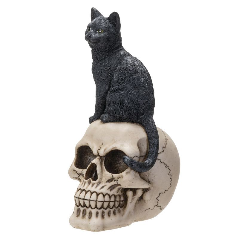 Witching Hour Black Cat on Skull Figurine