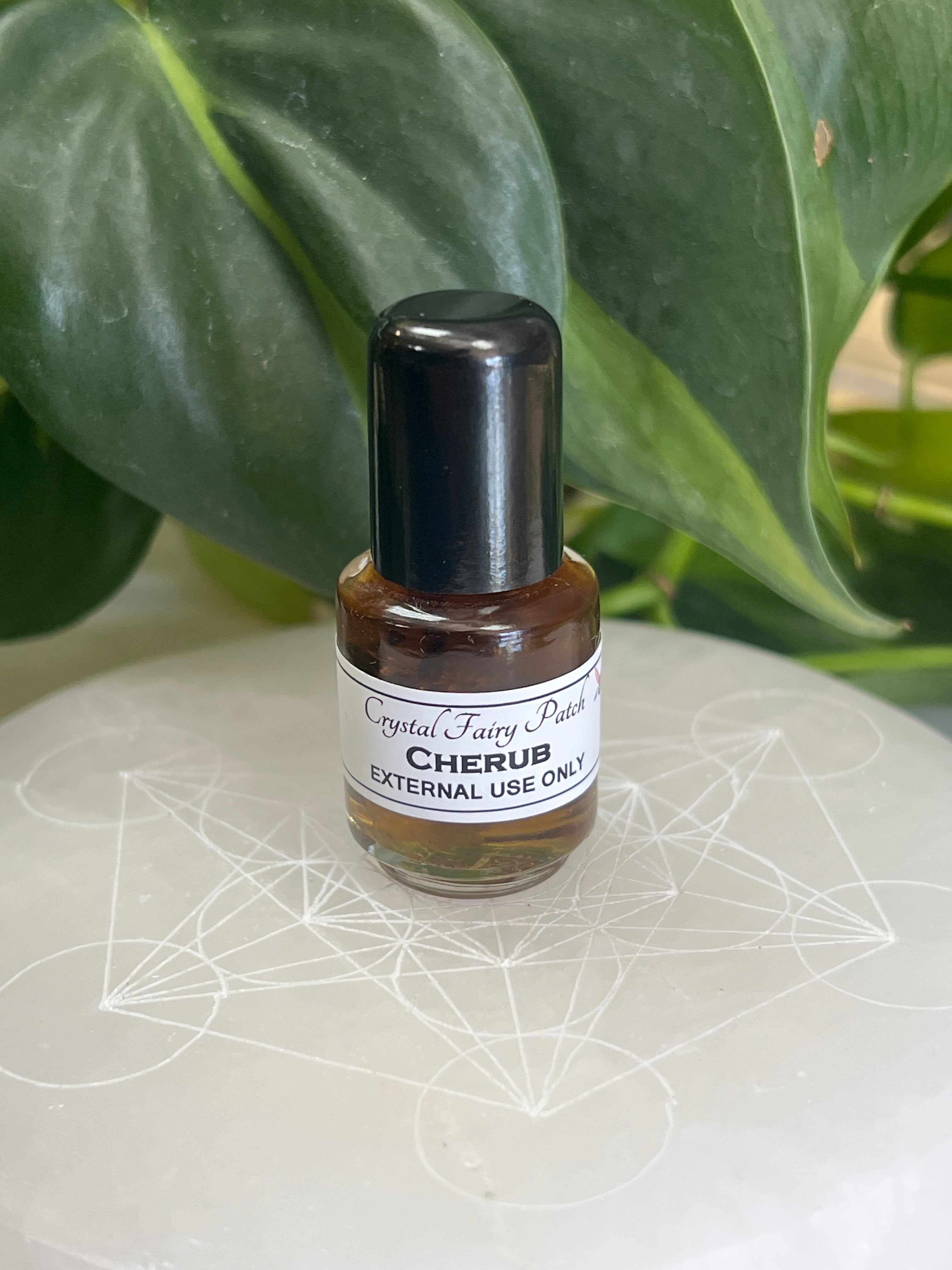 Cherub Oil