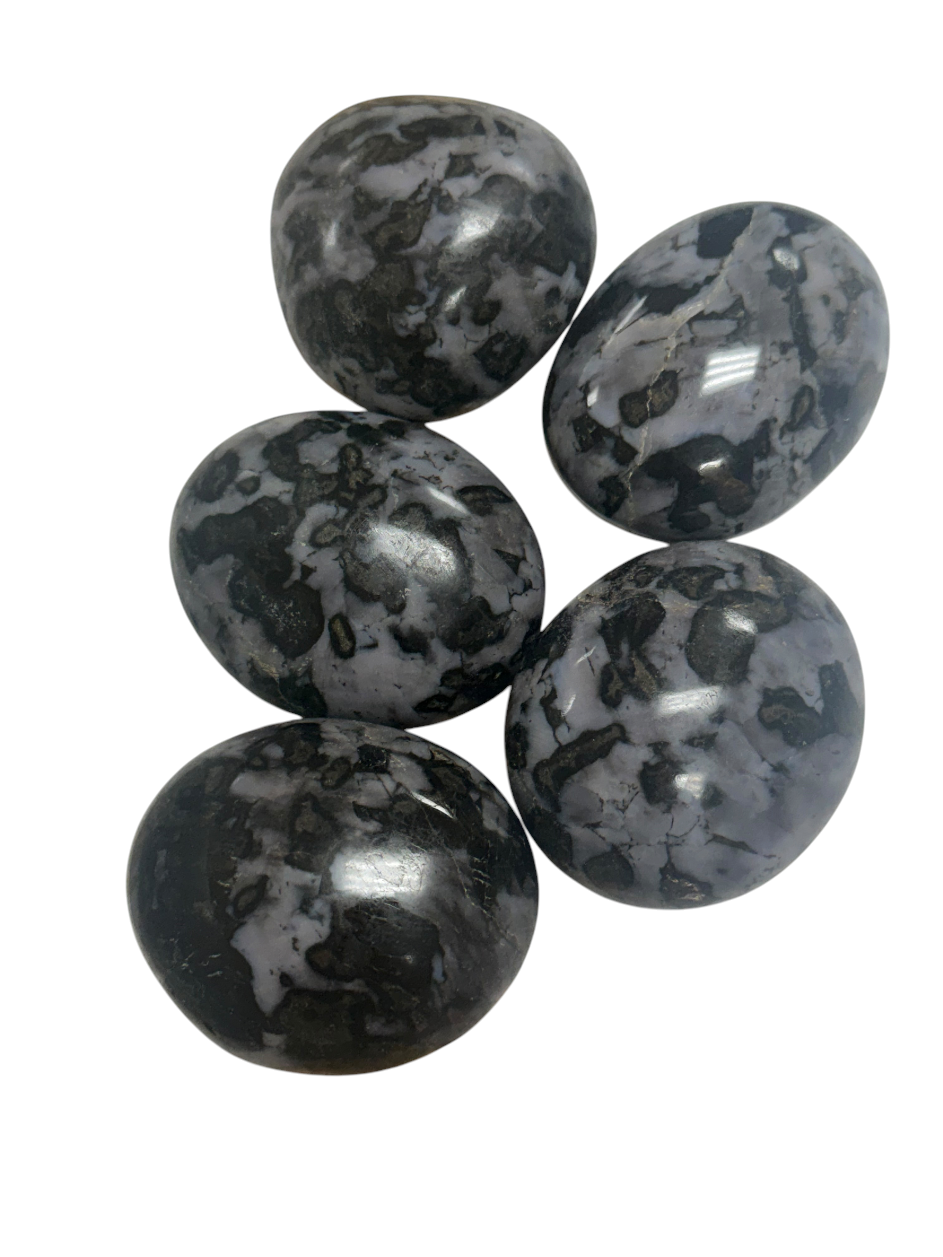 Indigo Gabbro ( Mystic Merlinite) Palm Stone