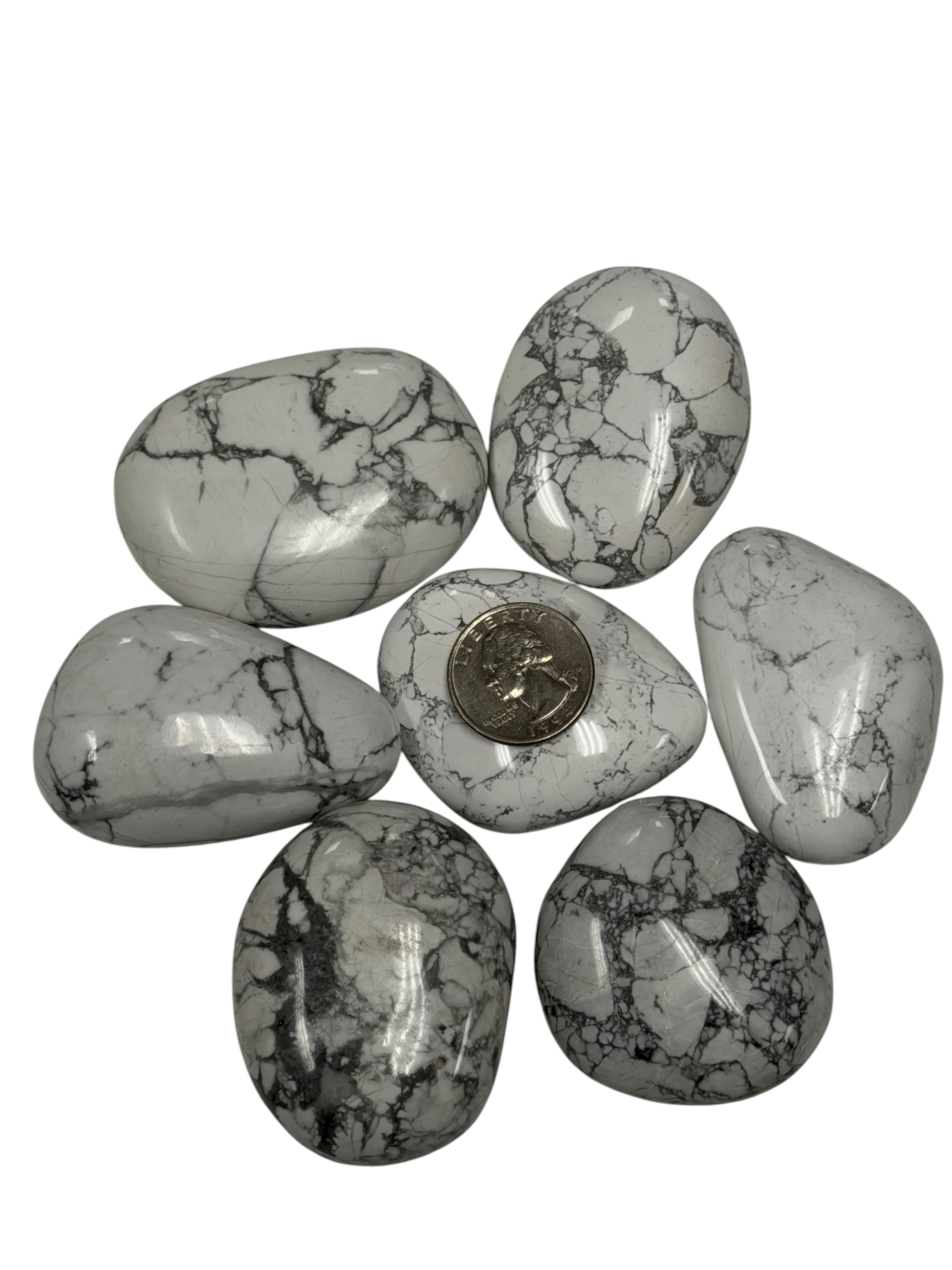Howlite Palm Stone
