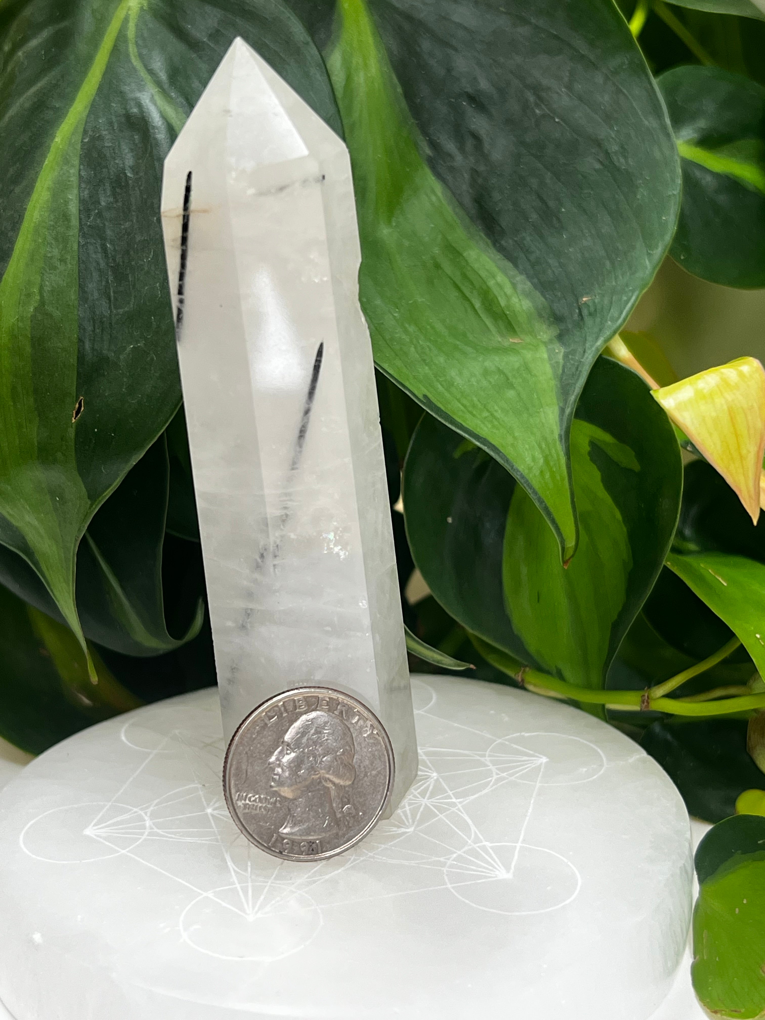 Black Tourmaline Quartz Tower