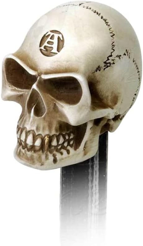 Philosophus Magus Alchemist Skull Gear Shift Knob & Paperweight