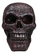 Rustic Corroded Dark Bronze Metallic Finish Skull