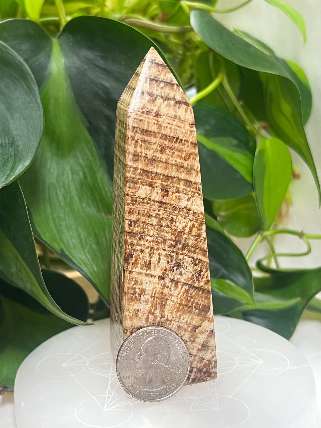 Aragonite Tower