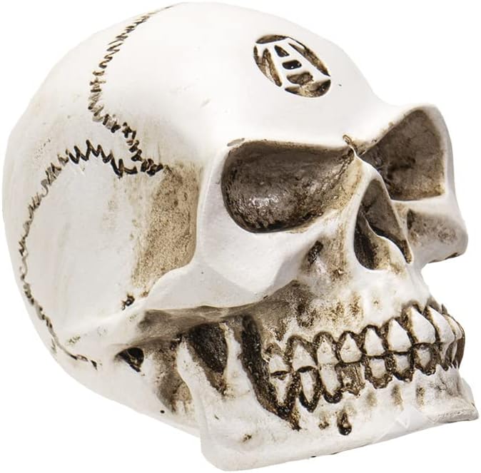 Philosophus Magus Alchemist Skull Gear Shift Knob & Paperweight