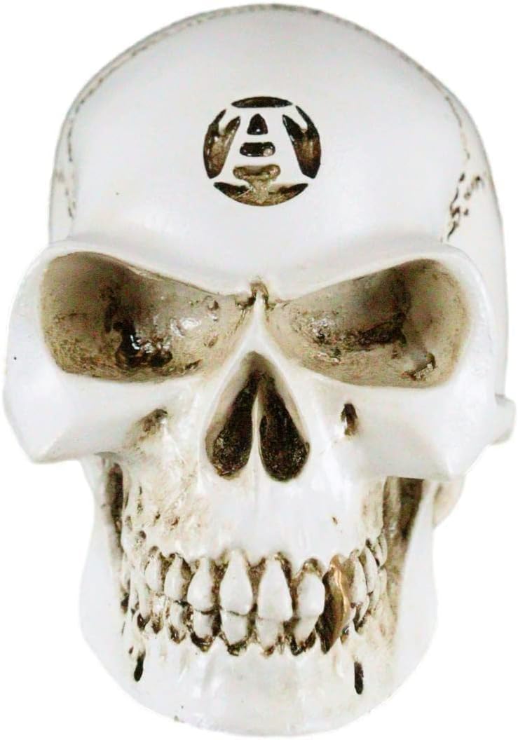 Philosophus Magus Alchemist Skull Gear Shift Knob & Paperweight