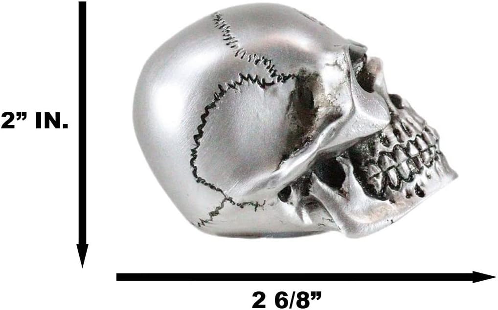 Silver Philosophus Magus Alchemist Skull Gear Shift Knob & Paperweight