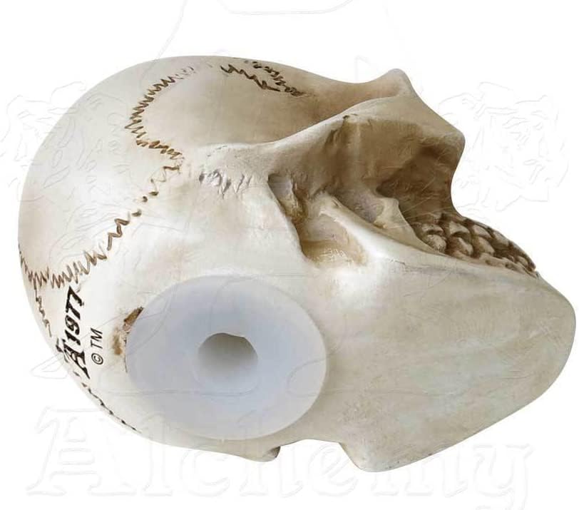 Philosophus Magus Alchemist Skull Gear Shift Knob & Paperweight