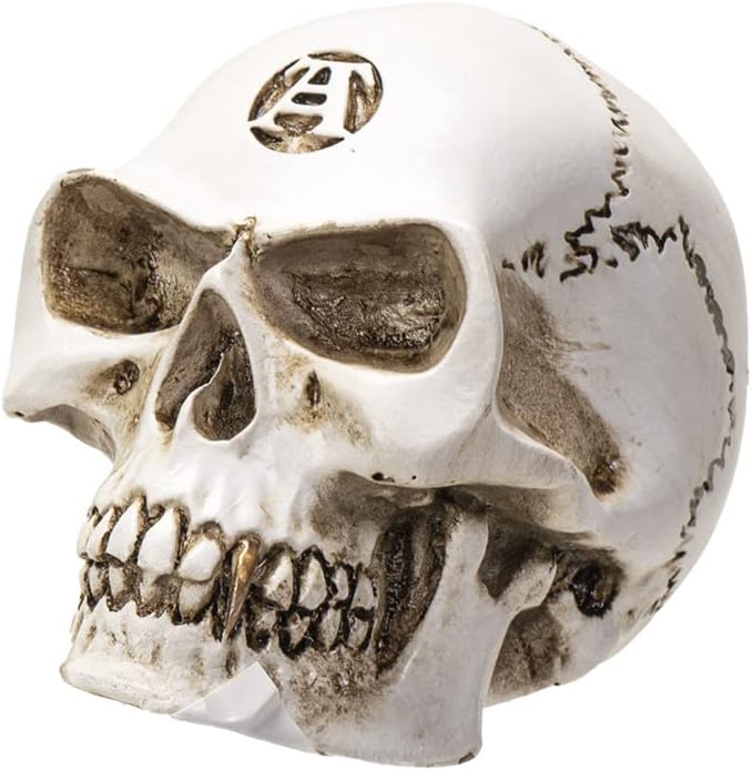 Philosophus Magus Alchemist Skull Gear Shift Knob & Paperweight