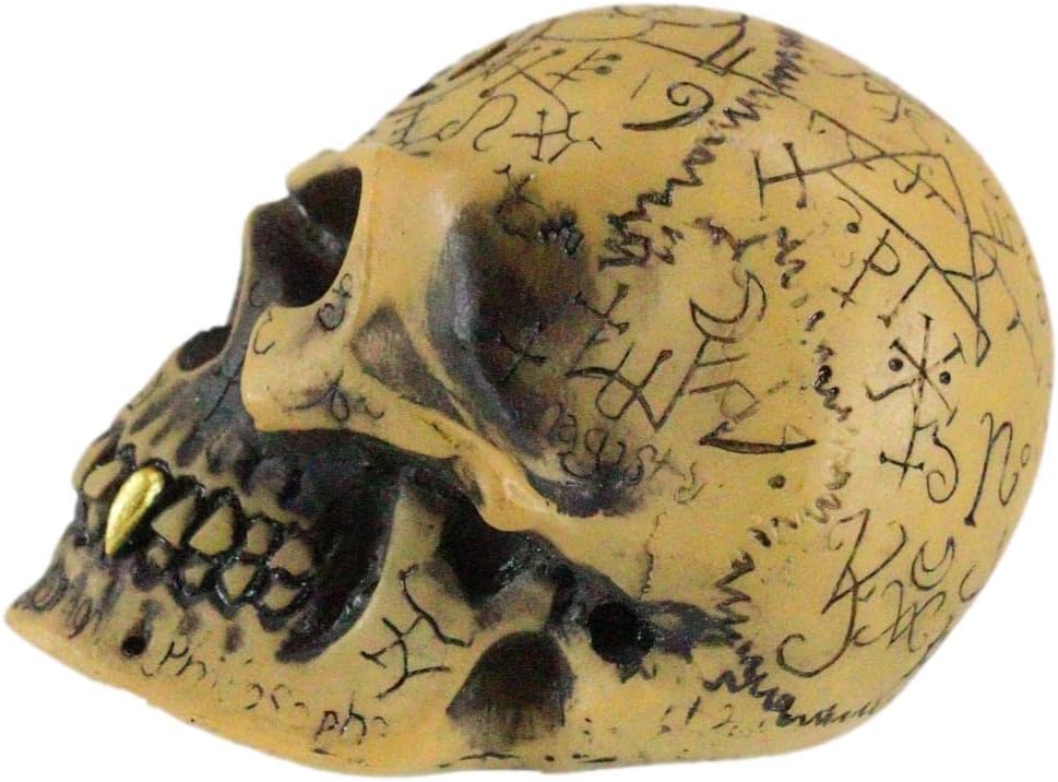 Alchemist Omega Skull Gear Shift Knob & Paperweight