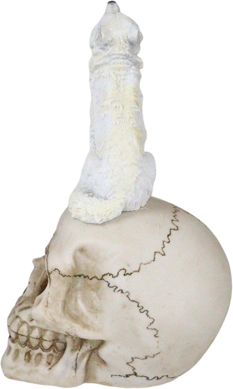 Howling Snow White Wolf Sitting On Graveyard Skull Figurine