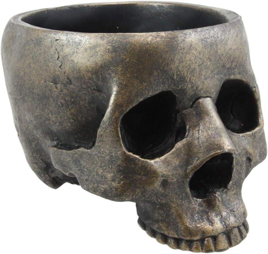 Bronze Patina Skull Bowl