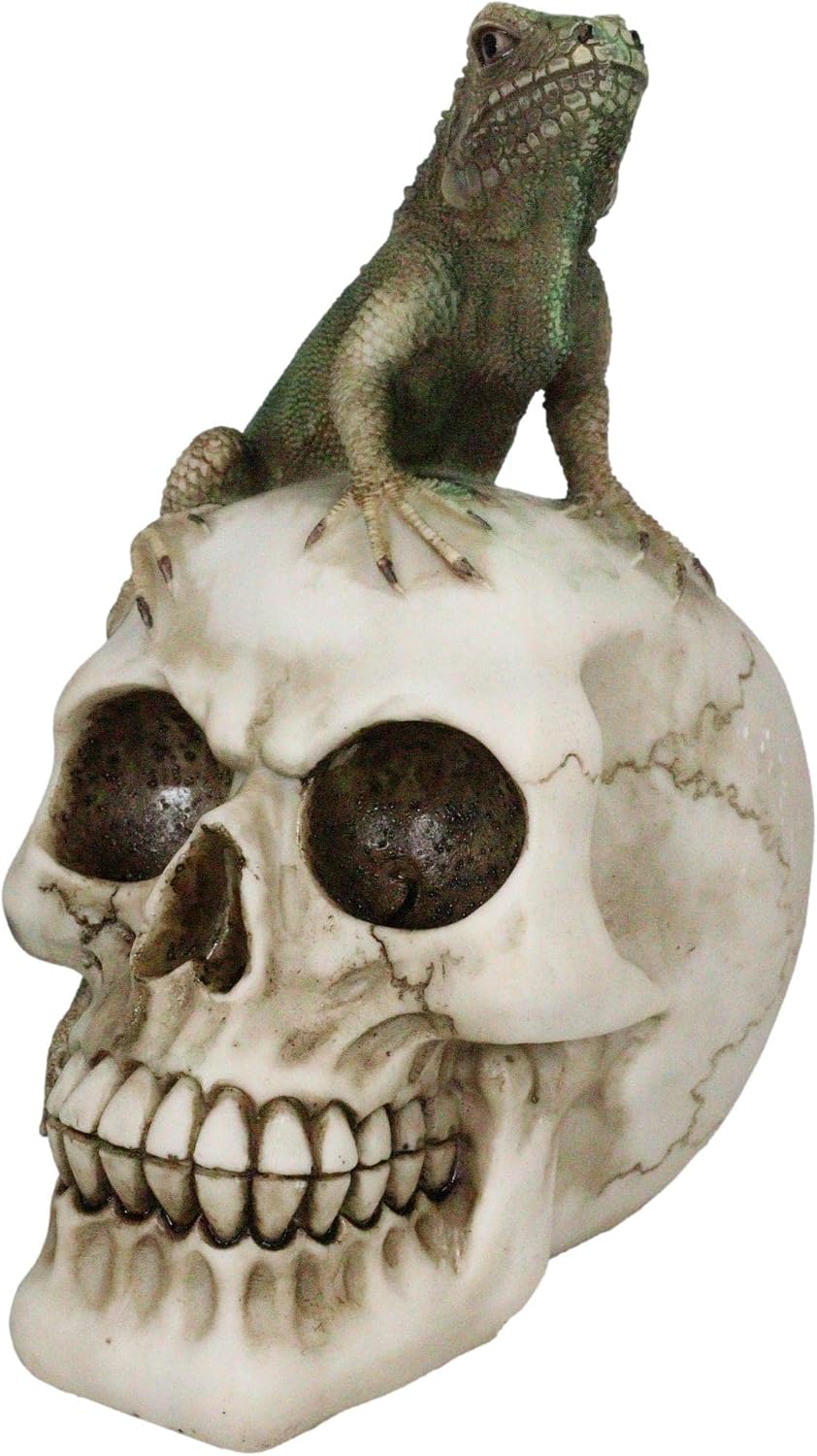 Iguana on Skull Figurine — Reptilian Dark Art Statue