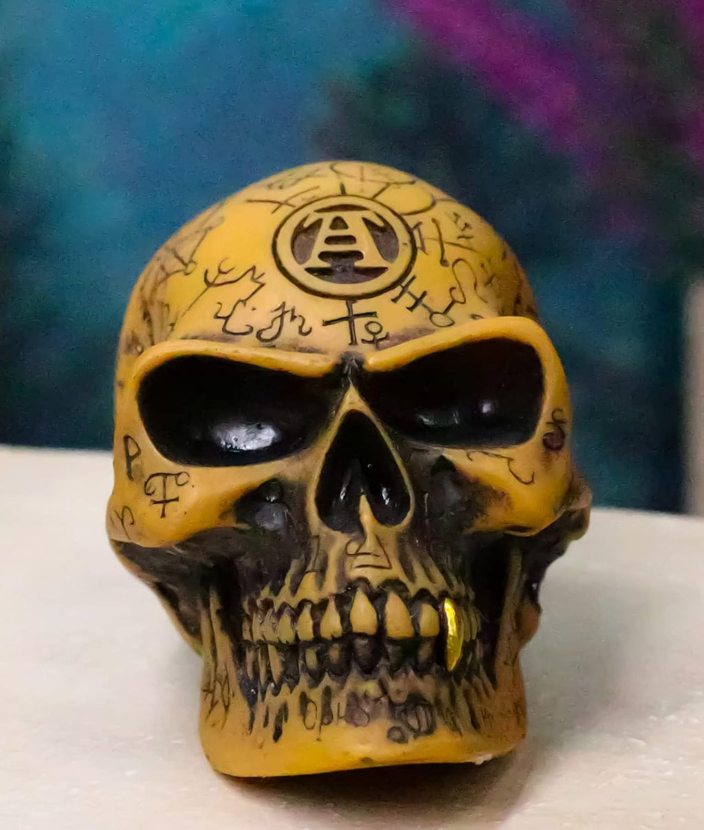 Alchemist Omega Skull Gear Shift Knob & Paperweight