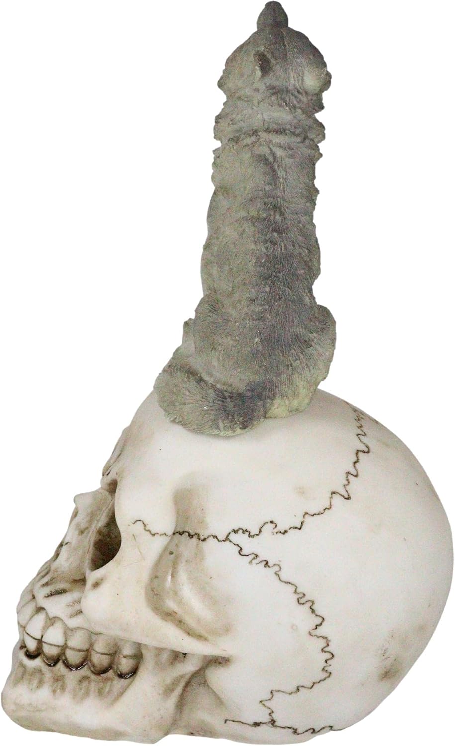 Howling Gray Wolf Sitting On Graveyard Skull Figurine