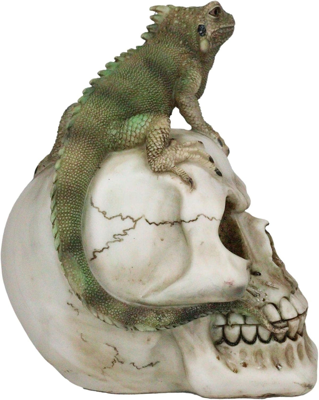 Iguana on Skull Figurine — Reptilian Dark Art Statue