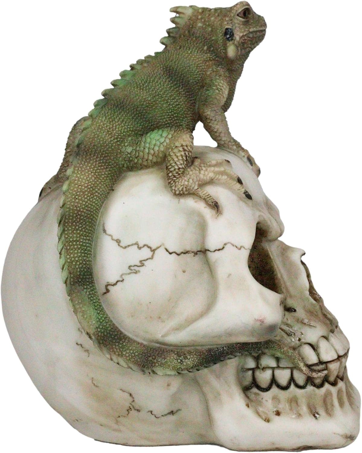 Iguana on Skull Figurine — Reptilian Dark Art Statue