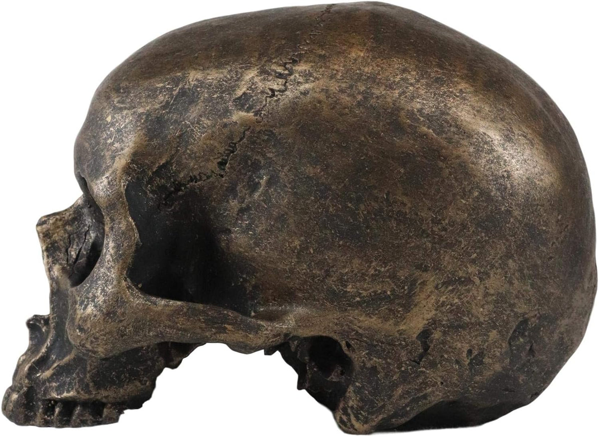 Rust Gold Half-Jaw Skull Figurine