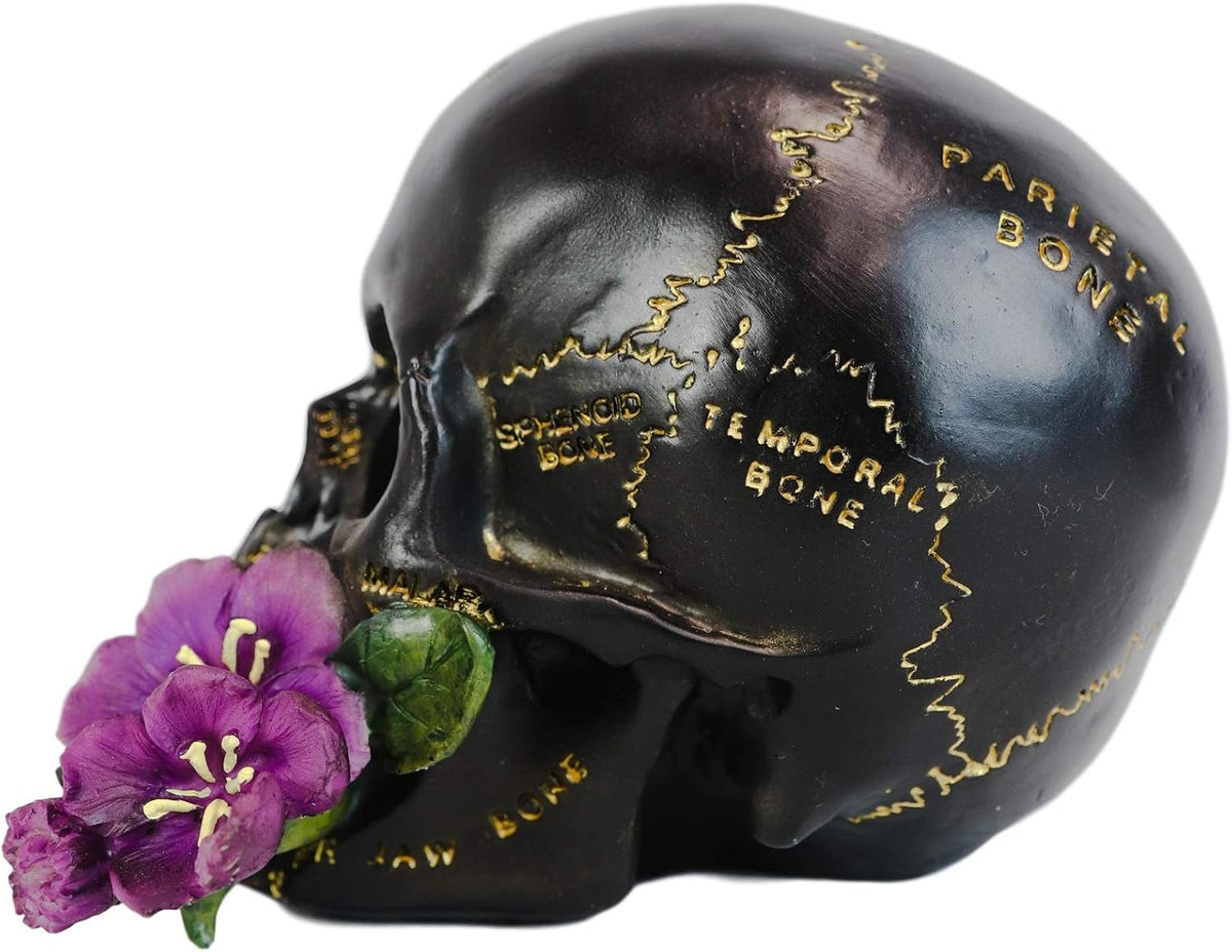 Paranormal Anatomy Skull with Purple Flowers Figurine