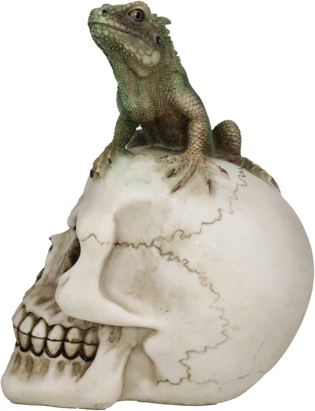 Iguana on Skull Figurine — Reptilian Dark Art Statue