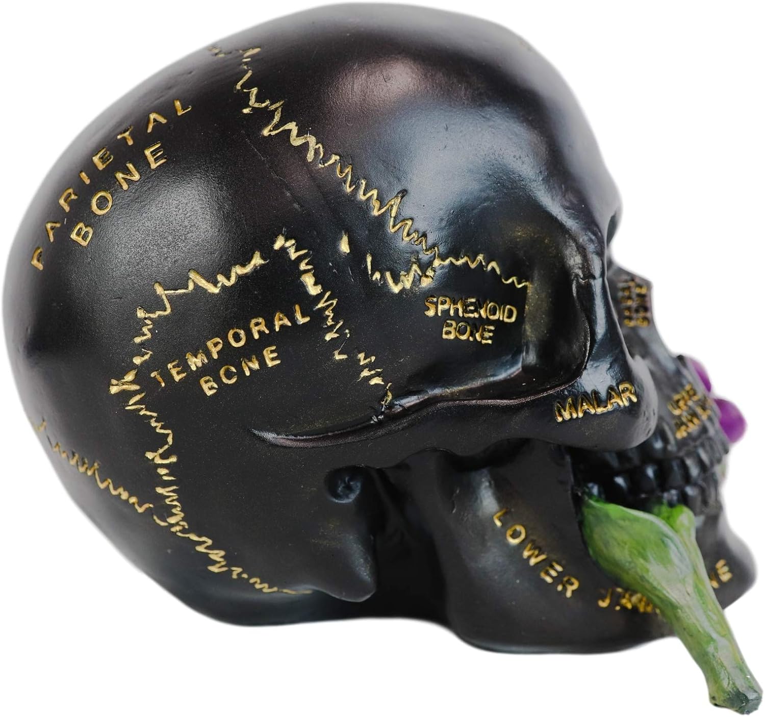 Paranormal Anatomy Skull with Purple Flowers Figurine