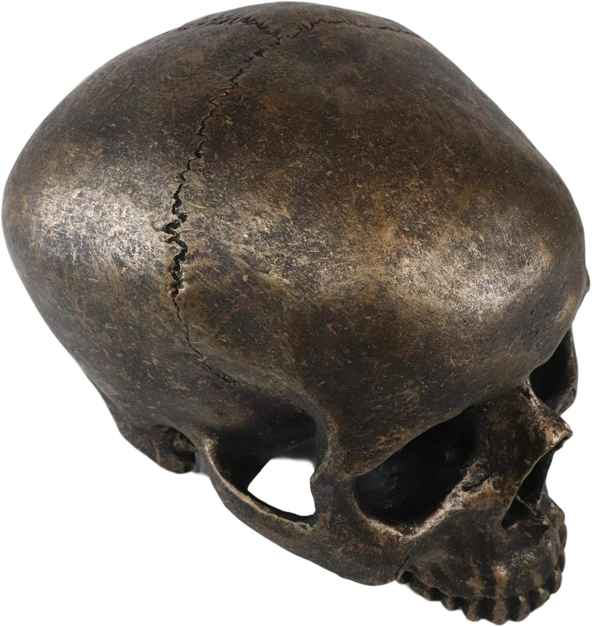 Rust Gold Half-Jaw Skull Figurine