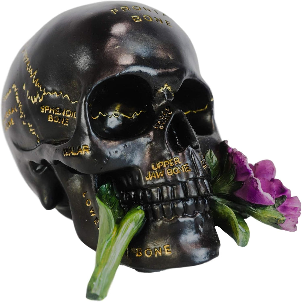 Paranormal Anatomy Skull with Purple Flowers Figurine