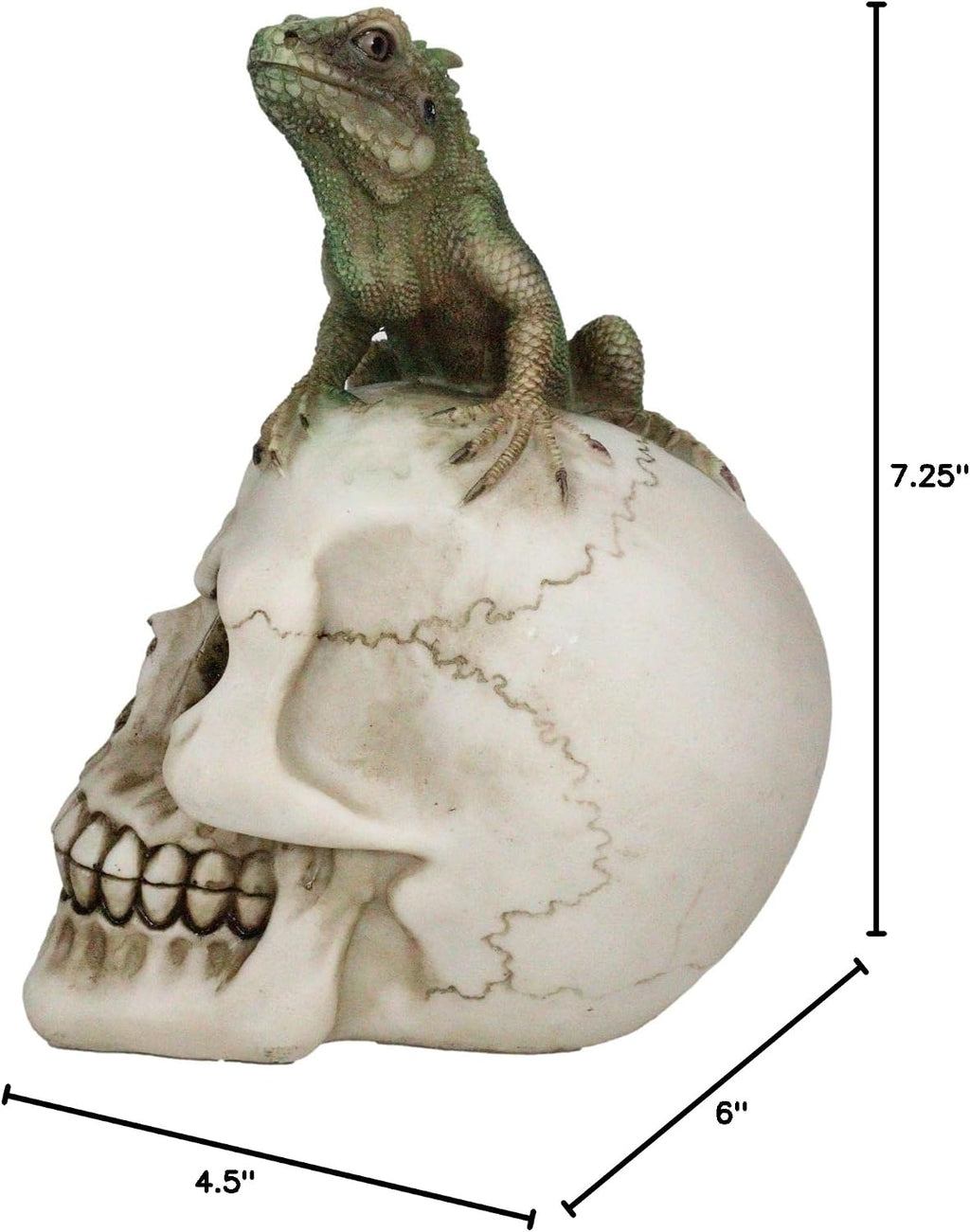 Iguana on Skull Figurine — Reptilian Dark Art Statue