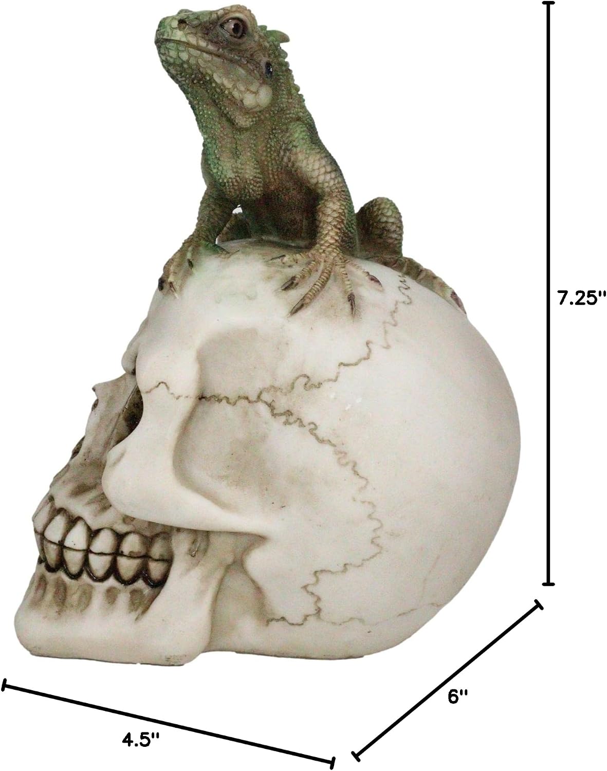Iguana on Skull Figurine — Reptilian Dark Art Statue