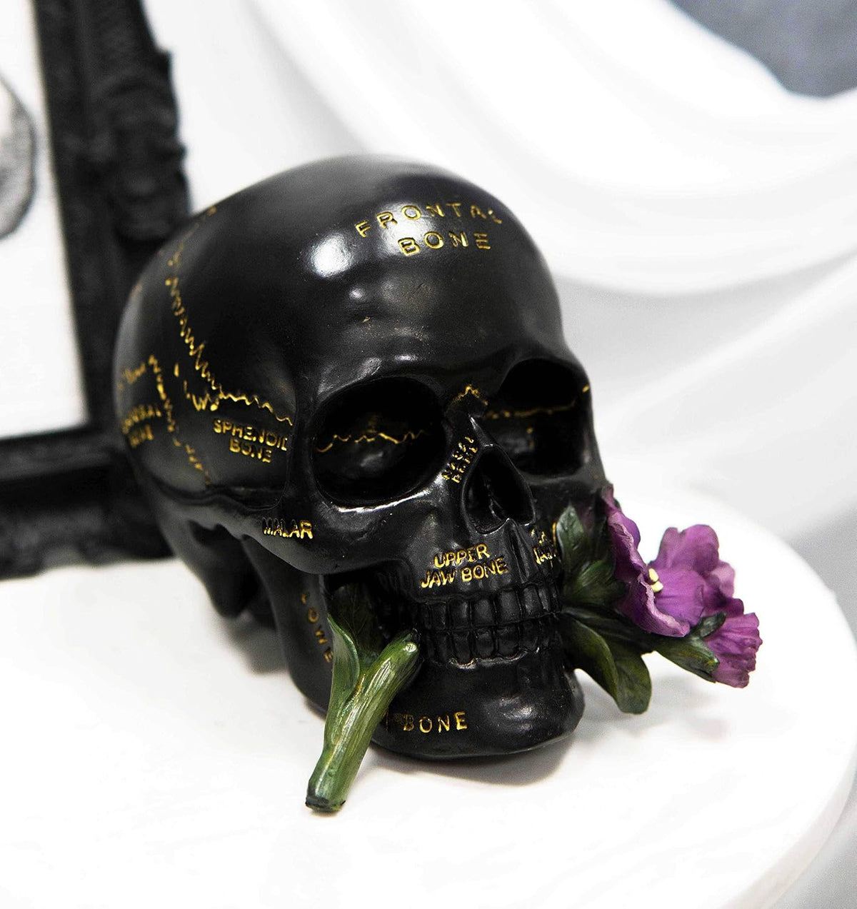 Paranormal Anatomy Skull with Purple Flowers Figurine