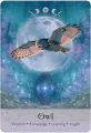 Lunar Magic Oracle