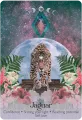 Lunar Magic Oracle
