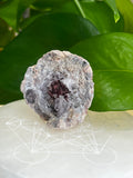 Amethyst Geode
