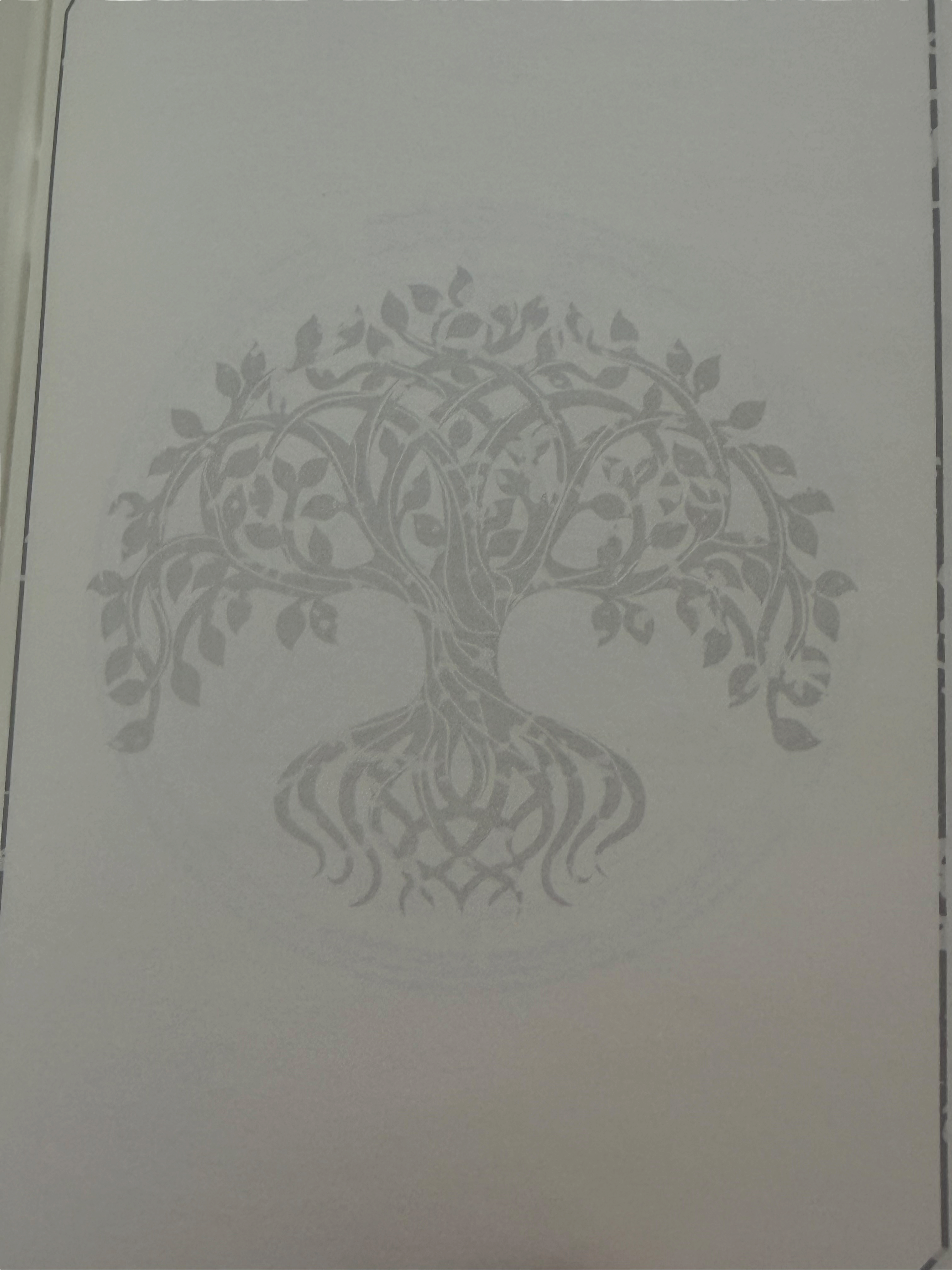 My Magic Notebook