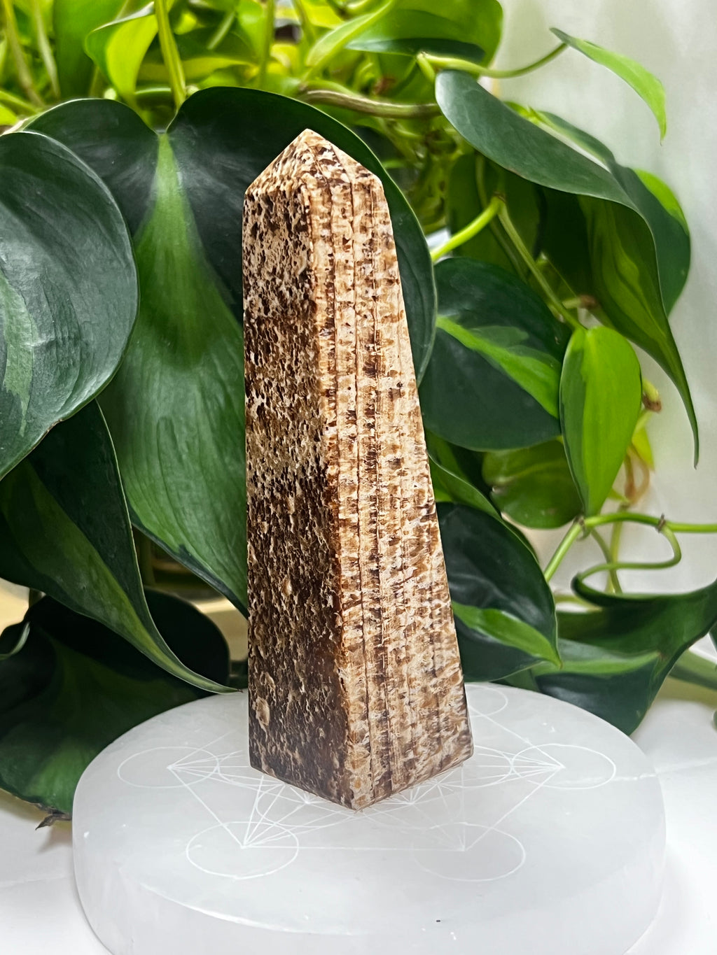 Aragonite Tower