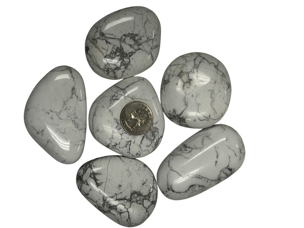 Howlite Palm Stone