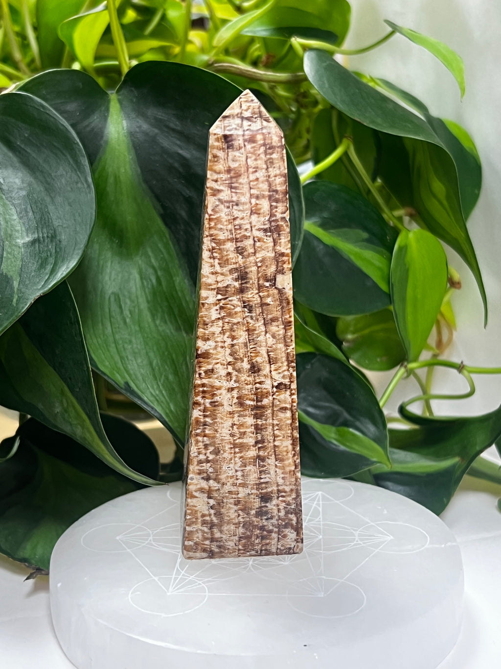 Aragonite Tower
