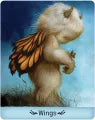 Gentle Creatures Oracle