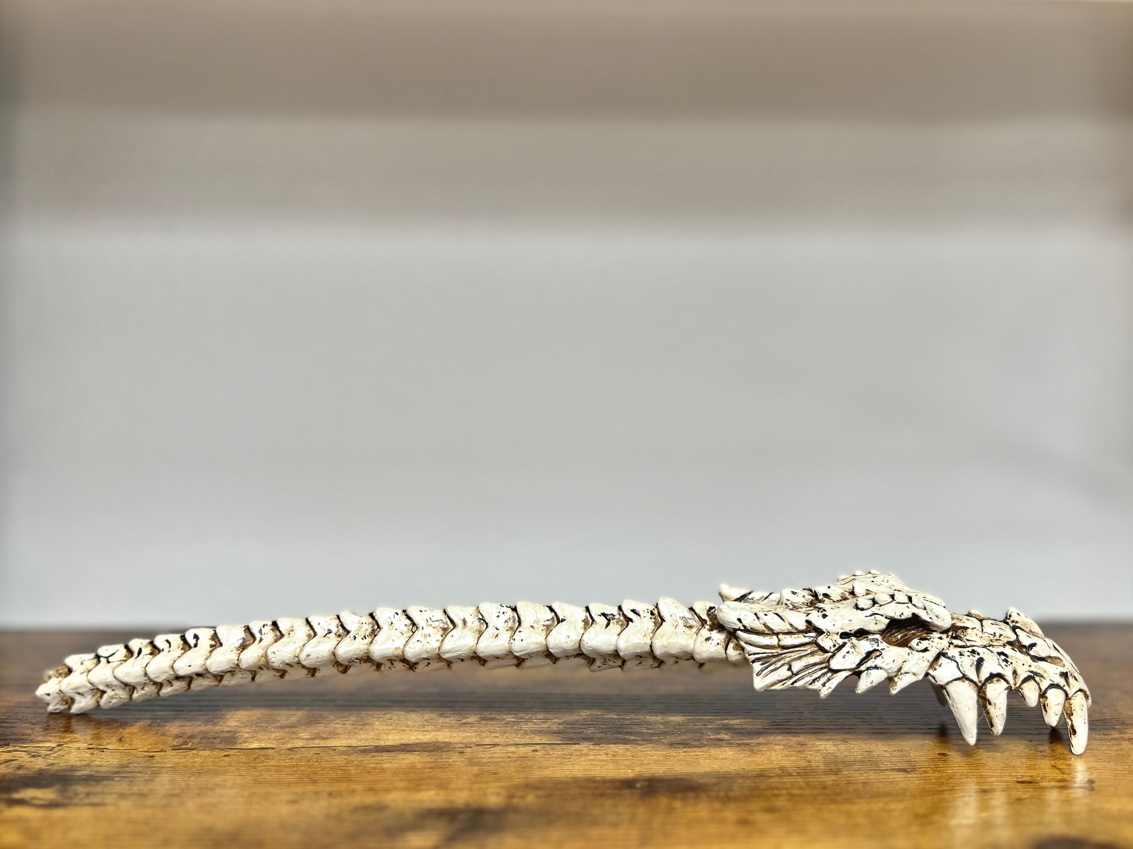 Back Scratchers