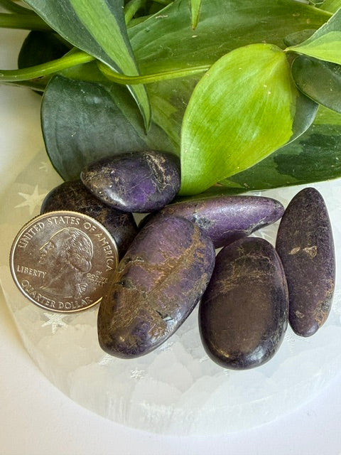 Tumbled Purpurite - Namibia