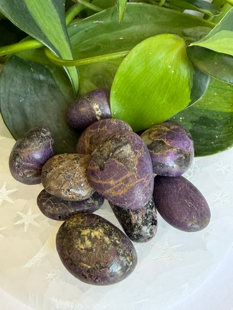 Tumbled Purpurite - Namibia