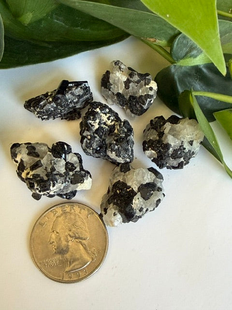 Tumbled Quartz Tourmalated Rough