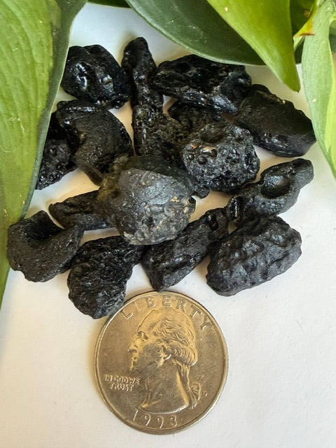 Tumbled Tektite