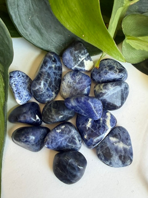 Tumbled Sodalite