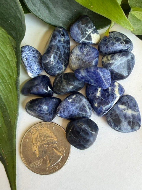 Tumbled Sodalite
