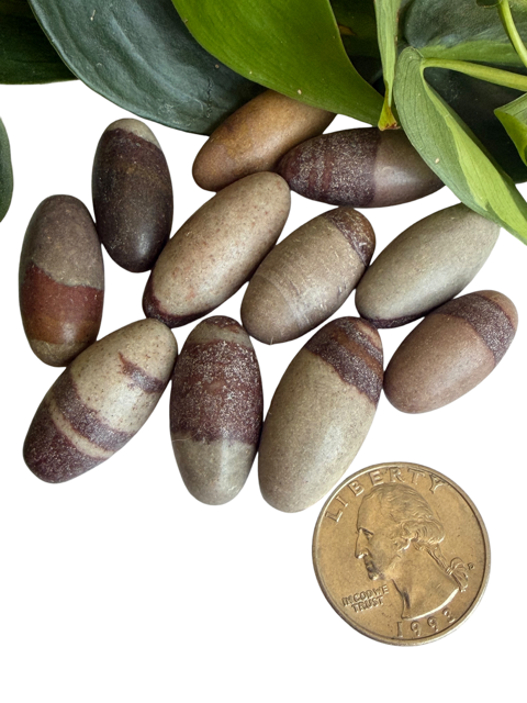Tumbled Shiva Lingam